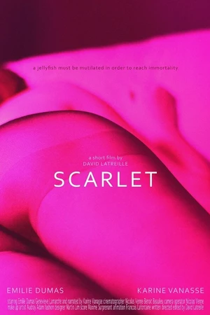 Постер к фильму Скарлет (2013)