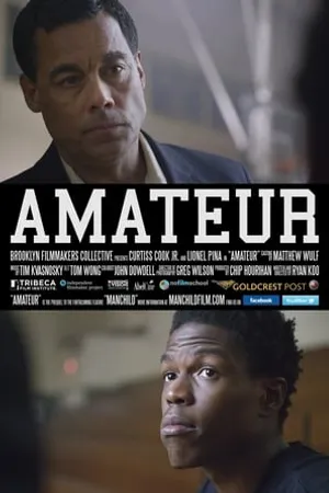 Постер к фильму Любитель (2013)