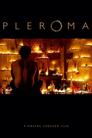 Постер к фильму Pleroma (2013)