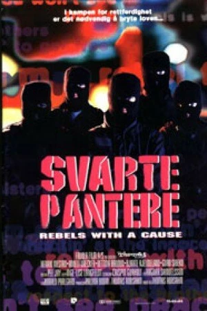 Постер к фильму Svarte pantere (1992)