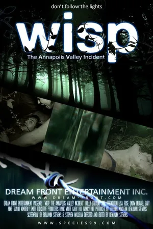 Постер к фильму Wisp (2013)