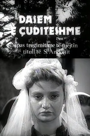 Постер к фильму Dasem e çuditëshme (1986)