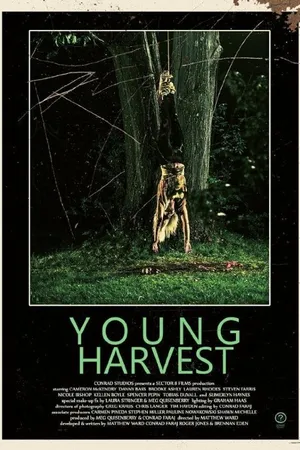 Постер к фильму Young Harvest (2013)