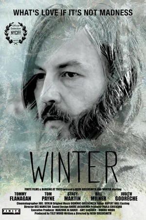 Постер к фильму Зима (2015)