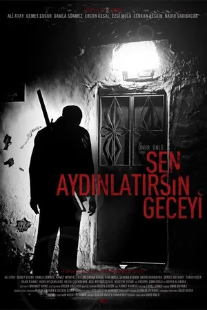 Постер к фильму Ты осветишь ночь (2013)