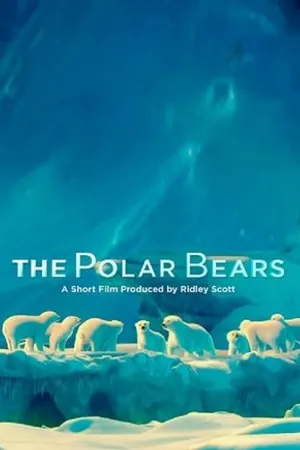 Постер к мультфильму The Polar Bears (2012)