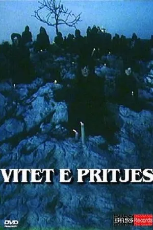 Постер к фильму Vitet e pritjes (1990)