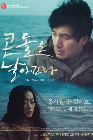 Постер к фильму Полёт кондора (2012)