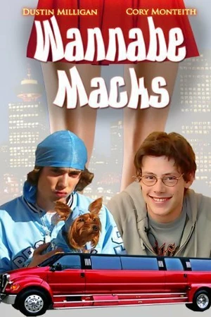 Постер к фильму Как научиться флиртовать (2011)