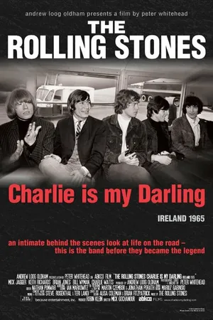 Постер к фильму The Rolling Stones: Чарли — моя лапочка (2012)
