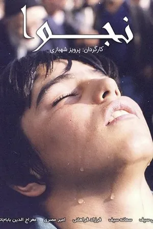 Постер к фильму Najva (2000)