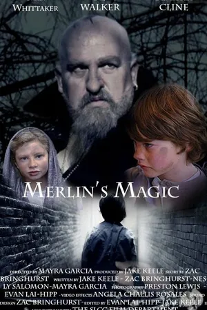 Постер к фильму Merlin's Magic (2013)