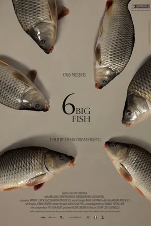 Постер к фильму 6 stora fiskar (2013)