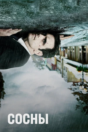 Постер к сериалу Сосны (2015 - 2016)