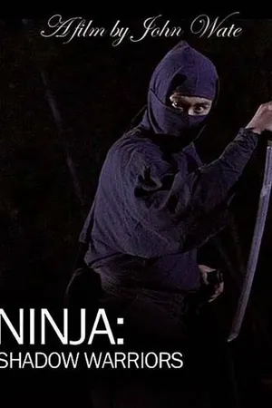 Постер к фильму Ниндзя: Воины-тени (2012)