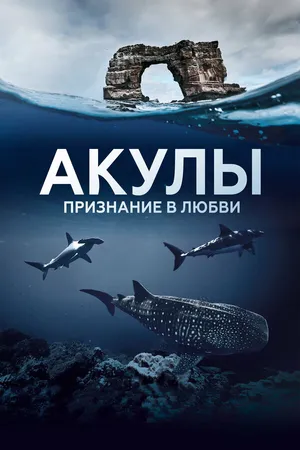 Постер к сериалу Акулы. Признание в любви (2022)