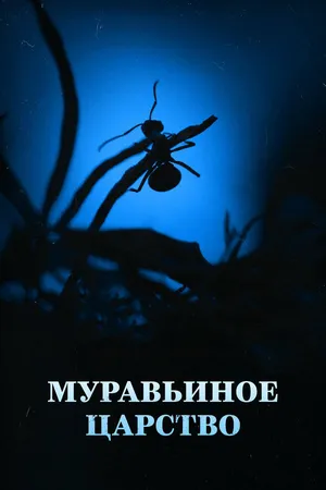 Постер к фильму Муравьиное царство (2022)