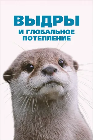 Постер к фильму Выдры и глобальное потепление (2018)