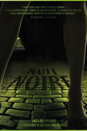 Постер к фильму Nuit noire (2013)