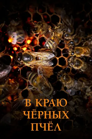 Постер к фильму В краю чёрных пчёл (2023)