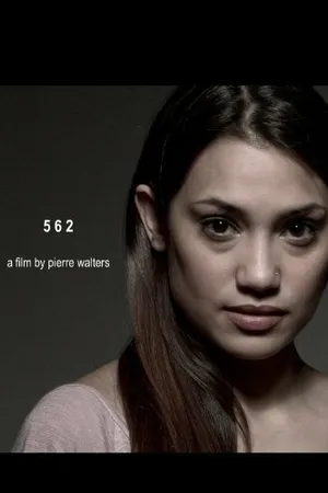 Постер к фильму 562 (2013)