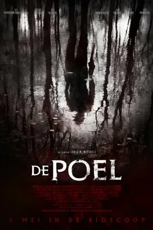 Постер к фильму Озеро (2014)