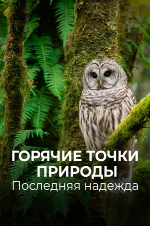 Постер к сериалу Горячие точки природы. Последняя надежда (2018)