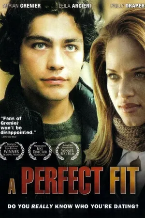 Постер к фильму Идеальный вариант (2005)