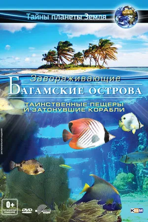 Постер к фильму Багамские острова 3D: Таинственные пещеры и затонувшие корабли (2012)