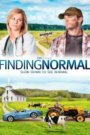 Постер к фильму Finding Normal (2013)