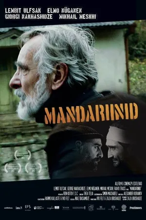 Постер к фильму Мандарины (2013)