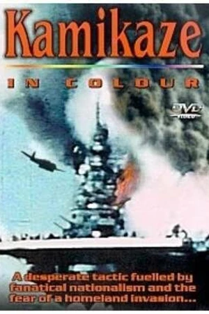 Постер к фильму Камикадзе в цвете (2002)