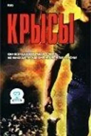 Постер к фильму Крысы (2001)