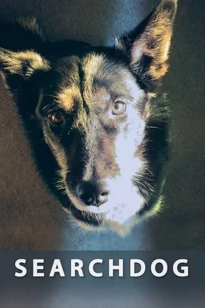 Постер к фильму Searchdog (2016)