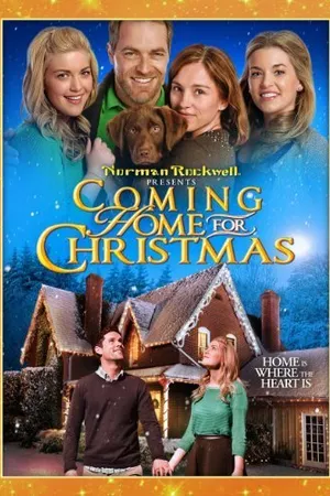 Постер к фильму Coming Home for Christmas (2013)