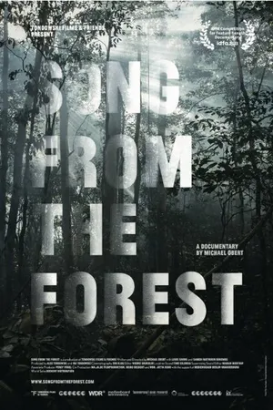 Постер к фильму Song from the Forest (2013)