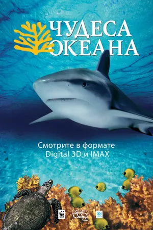 Постер к фильму Чудеса океана 3D (2003)