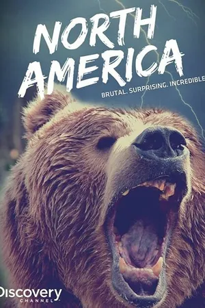 Постер к сериалу Discovery: Северная Америка (2013)
