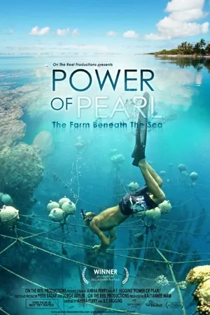Постер к фильму Power of Pearl (2017)