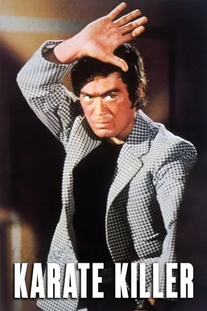Постер к фильму Телохранитель Киба 2 (1973)