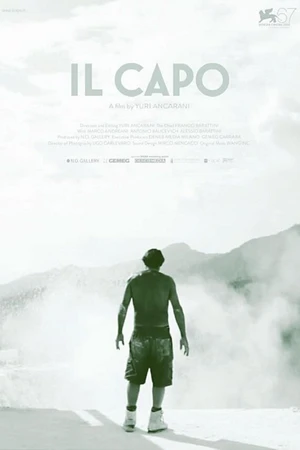 Постер к фильму Начальник (2010)