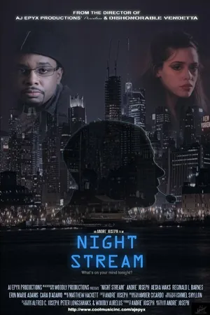 Постер к фильму Night Stream (2013)