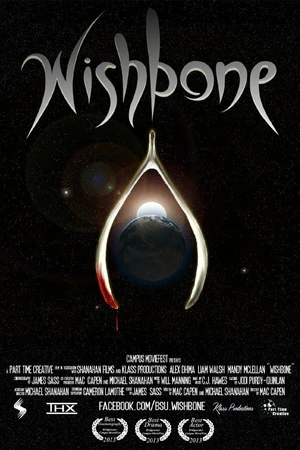 Постер к фильму Wishbone (2013)