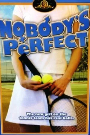 Постер к фильму Никто не идеален (2004)