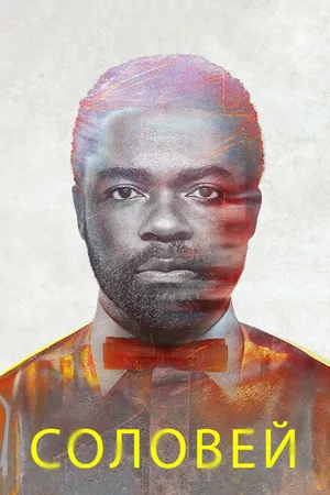 Постер к фильму Соловей (2014)