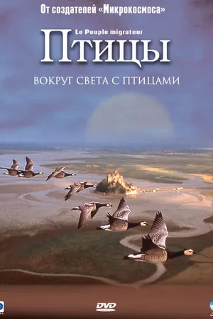 Постер к фильму Птицы (2001)