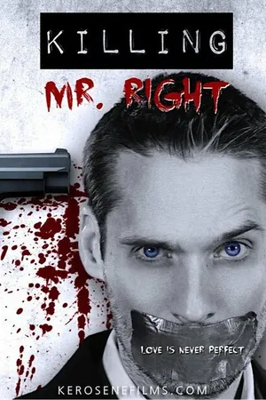 Постер к фильму Killing Mr. Right (2014)