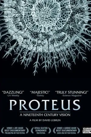 Постер к мультфильму Глубина (2004)