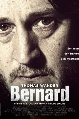 Постер к фильму Bernard (2014)