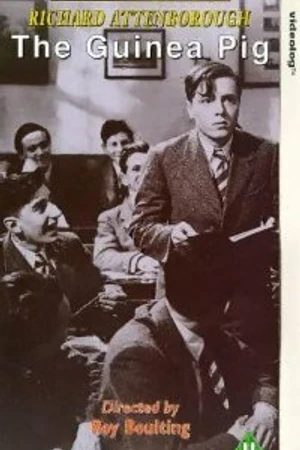 Постер к фильму Морская свинка (1948)